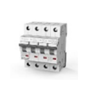 POLYCAB MCB 63A FP 10KA (GMM204P008)