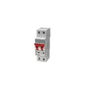POLYCAB  SWITCH DISCONECTOR 125A DP (GMS502P005)